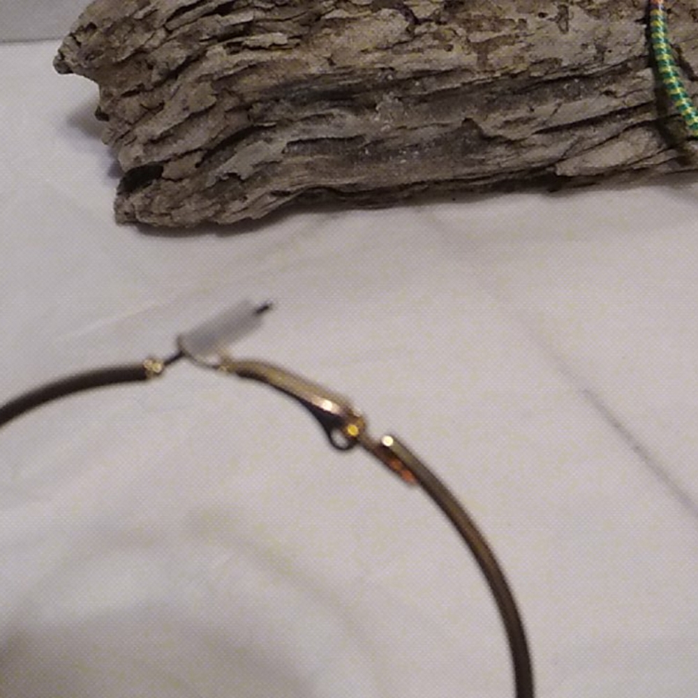Nwt Large Hoop Earrings - Picture 5 of 6